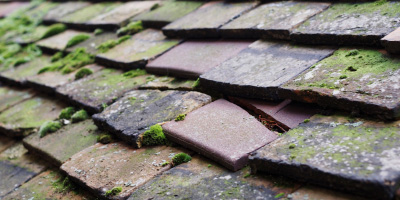 Perton roof repair costs